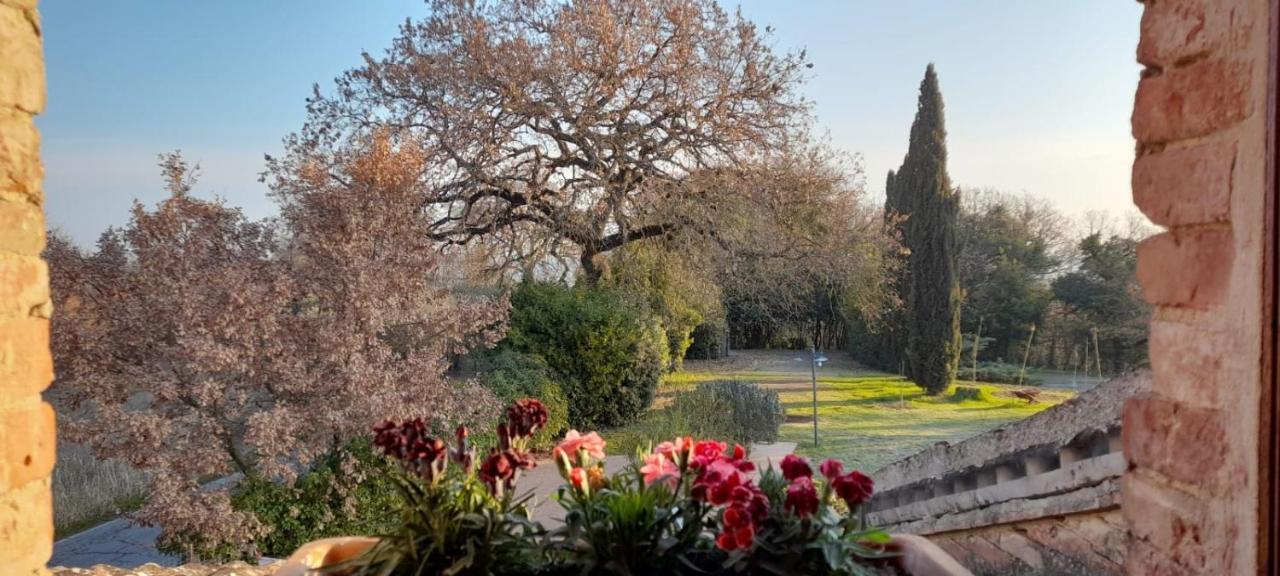 Il Casale Di Sandra Chiusi Exteriér fotografie