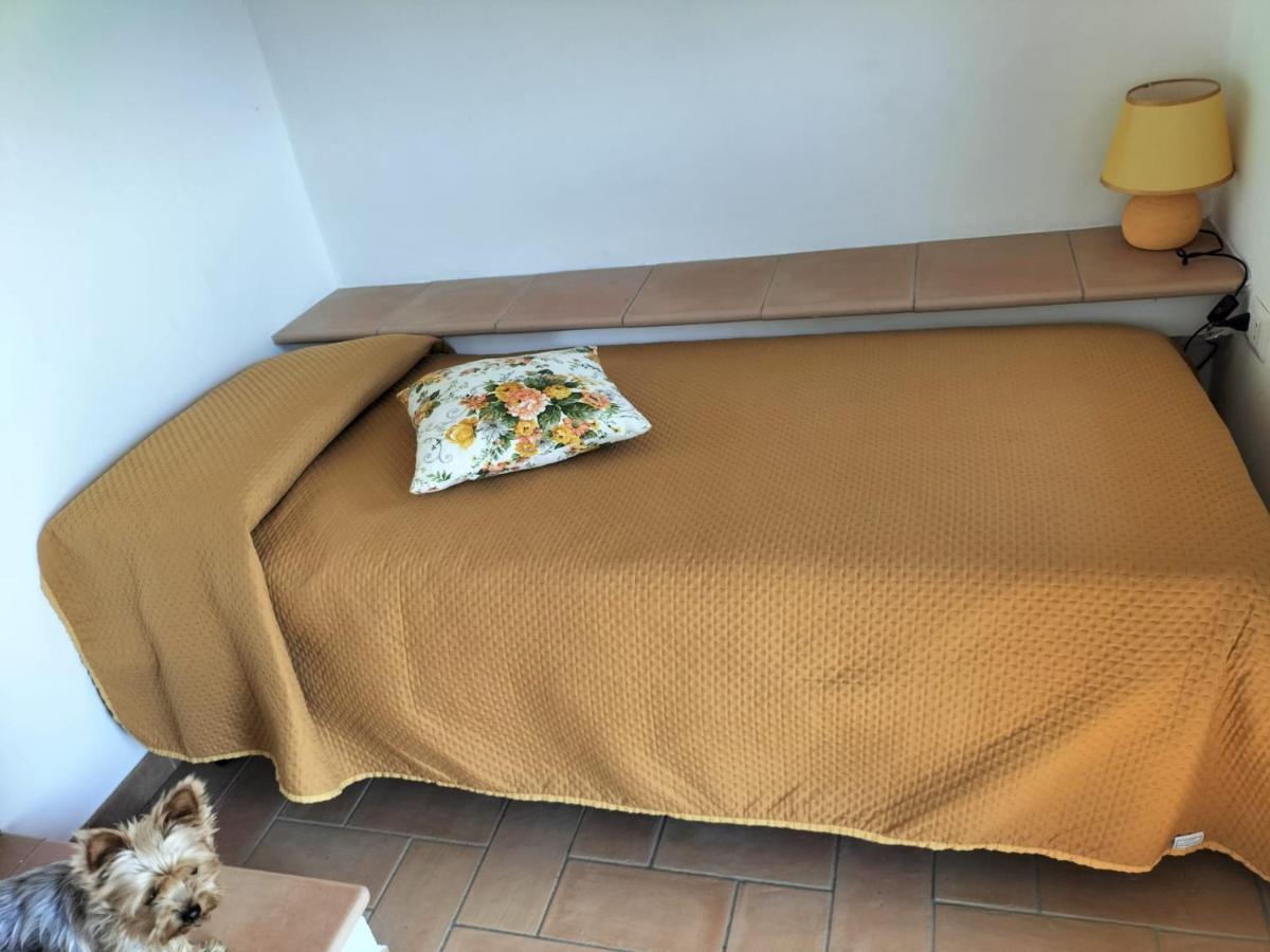 Il Casale Di Sandra Chiusi Exteriér fotografie